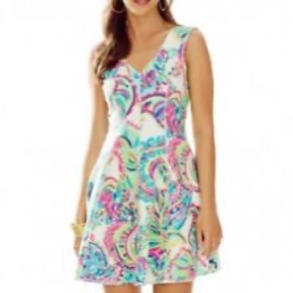 Lilly Pulitzer Fit And Flare V Neck XL Paisley